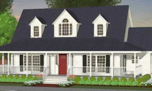 Northampton_Cape-elev1